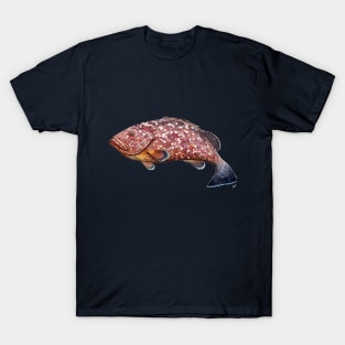 Dusky grouper T-Shirt